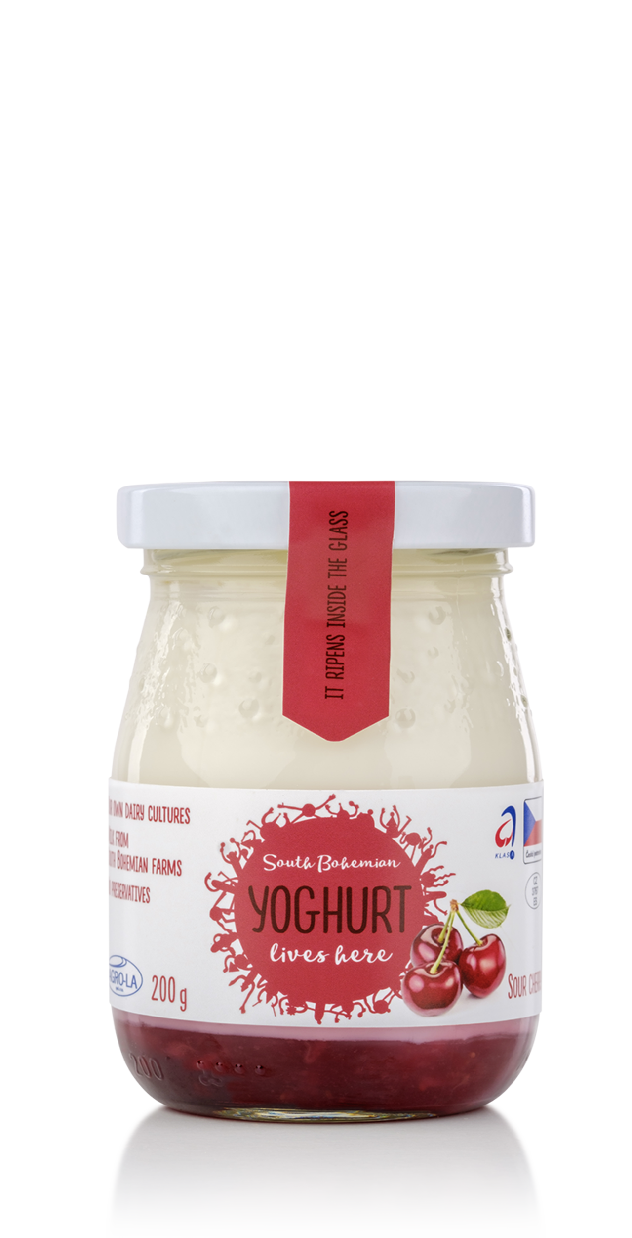 Jogurt-visen-en